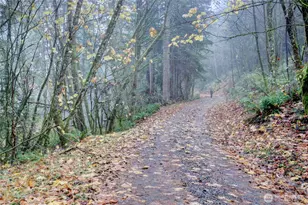 8 Shetland Ct, Bellingham, WA 98229 - Photo 37