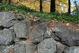 15344 62nd Ave S, Tukwila, WA 98188 - Photo 3