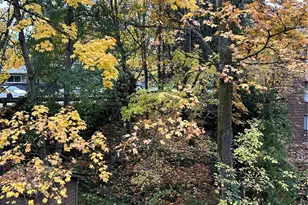 15344 62nd Ave S, Tukwila, WA 98188 - Photo 11