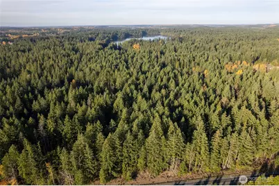 0 Bald Hills Road, Yelm, WA 98597 - Photo 5