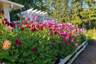 951 Bulman Rd SE, Port Orchard, WA 98366 - Photo 37