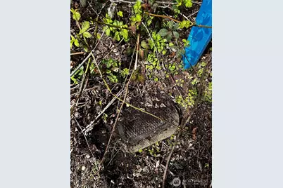 0 Adjacent To Baldwin Rd, Bothell, WA 98012 - Photo 3