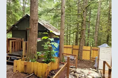 64308 Cascade River Road #1-147, Marblemount, WA 98267 - Photo 1