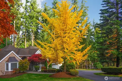 16424 NE 169th Place, Woodinville, WA 98072 - Photo 35