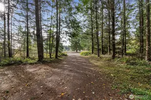 36819 Eatonville Cutoff Rd E, Eatonville, WA 98328 - Photo 5