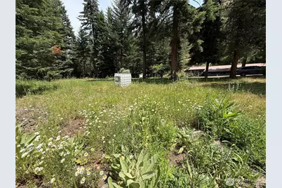 111 Tamarack Lane, Dayton, WA 99328 - Photo 37