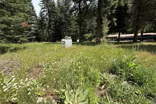 111 Tamarack Ln, Dayton, WA 99328 - Photo 37