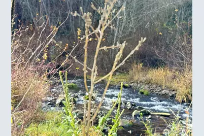 111 Tamarack Lane, Dayton, WA 99328 - Photo 35