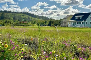 22 Bungalow Loop, Pacific Beach, WA 98571 - Photo 33