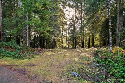 30 E Tahuya Drive, Shelton, WA 98584 - Photo 1