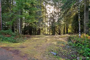 30 E Tahuya Dr, Shelton, WA 98584 - Photo 1