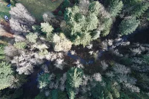 62 Bunting Dr, Ariel, WA 98603 - Photo 39