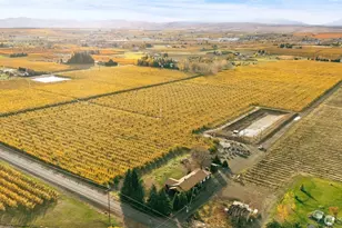 750 Potter Rd, Tieton, WA 98947 - Photo 35