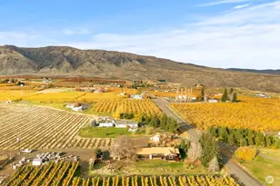 750 Potter Rd, Tieton, WA 98947 - Photo 31