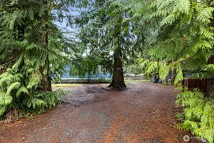 42037 Pine St, Concrete, WA 98237 - Photo 19