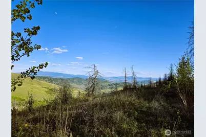 1111 Bottom Road, Tonasket, WA 98855 - Photo 1