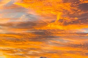 507 Cope St SW, Orting, WA 98360 - Photo 39