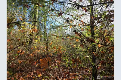 388 Xx 191st Avenue SE, Auburn, WA 98092 - Photo 9