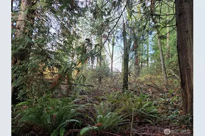 388 Xx 191st Avenue SE, Auburn, WA 98092 - Photo 13