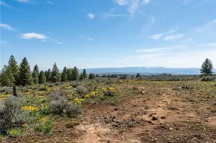 202 Chipmunk Trail Rd, East Wenatchee, WA 98802 - Photo 7