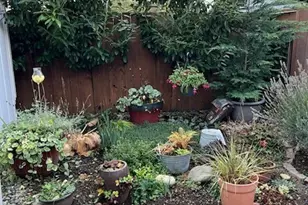 3702 Hunt Street NW, Gig Harbor, WA 98335 - Photo 17