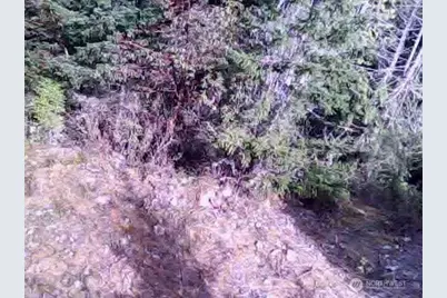 11939 New Morning Drive, Anacortes, WA 98221 - Photo 27