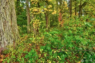 7640 Mesplay Ave SE, Lacey, WA 98503 - Photo 19