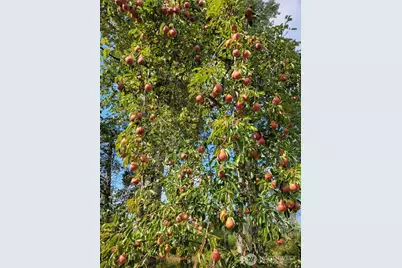 16314 160th Street NW, Gig Harbor, WA 98329 - Photo 7