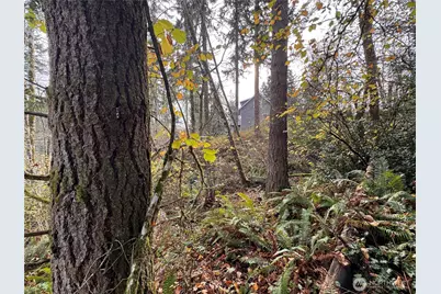 1618 Maple Valley Drive, Centralia, WA 98531 - Photo 7
