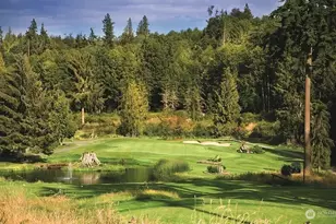 310 Mt Wilder Way, Port Ludlow, WA 98365 - Photo 11