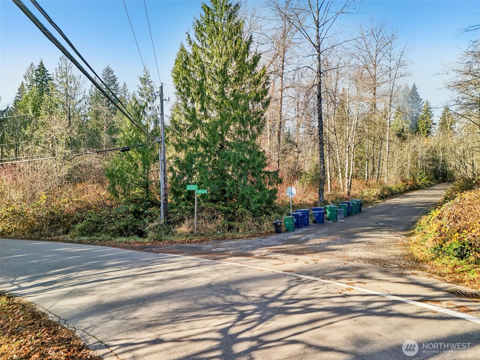 111 Xx W Lake Joy Dr NE, Carnation, WA 98014 - MLS 2456637 - Coldwell ...