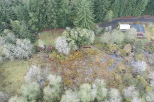 763 Geissler Rd, Montesano, WA 98563 - Photo 13