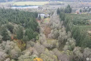 763 Geissler Rd, Montesano, WA 98563 - Photo 15