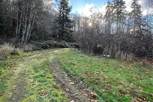 4149 State Route 6, Chehalis, WA 98532 - Photo 25