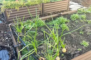 646 Summer Breeze Ln, Sequim, WA 98382 - Photo 29