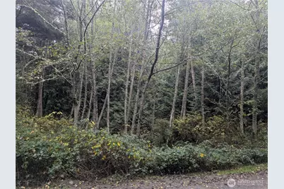 0 Xxx Jewett Road, Clinton, WA 98236 - Photo 3