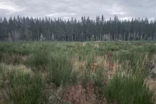 28590 Kent Kangley, Ravensdale, WA 98051 - Photo 1