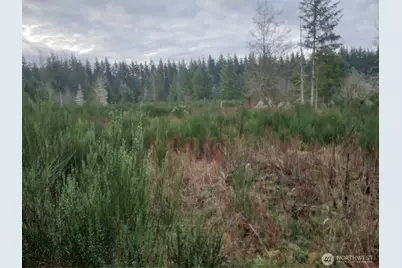 28596 Kent Kangley, Ravensdale, WA 98051 - Photo 1