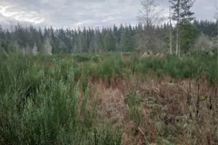 28596 Kent Kangley, Ravensdale, WA 98051 - Photo 1