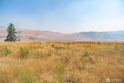 0 Aeneas Valley Road, Tonasket, WA 98855 - Photo 3