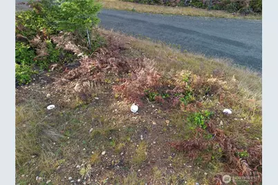 151 E Kingsley Place, Belfair, WA 98528 - Photo 13