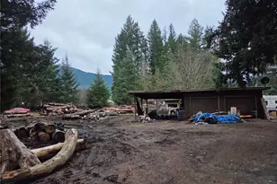 125 Edmonds Rd, Packwood, WA 98361 - Photo 3