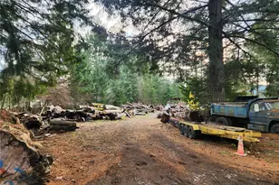 125 Edmonds Rd, Packwood, WA 98361 - Photo 5