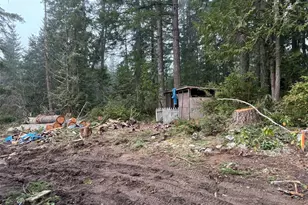 311 E Murray Rd, Grapeview, WA 98546 - Photo 19