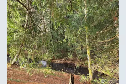 8442 US Hwy 12, Glenoma, WA 98336 - Photo 25