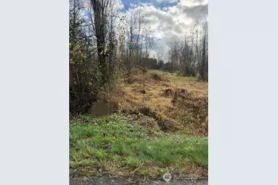 0 SE 416th Street, Enumclaw, WA 98022 - Photo 3
