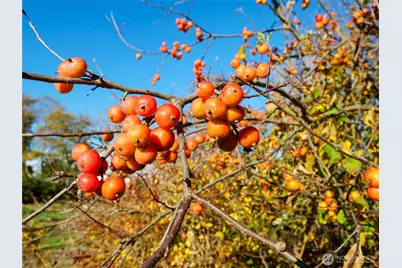 5953 Old Olympic Highway, Sequim, WA 98382 - Photo 31