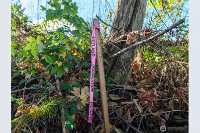 5953 Old Olympic Highway, Sequim, WA 98382 - Photo 37