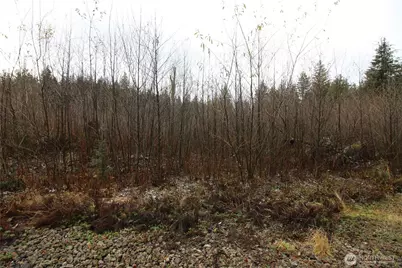 0 364th Avenue SE, Maple Valley, WA 98038 - Photo 7