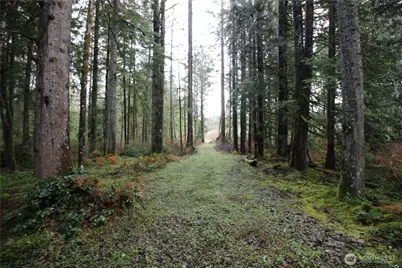 0 364th Avenue SE, Maple Valley, WA 98038 - Photo 9